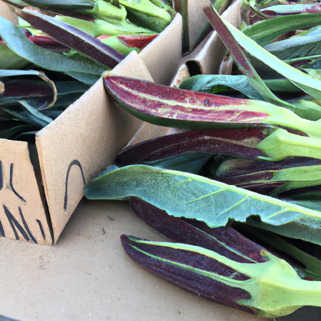 1. Unveiling the Wonders of North American Farmers' Markets