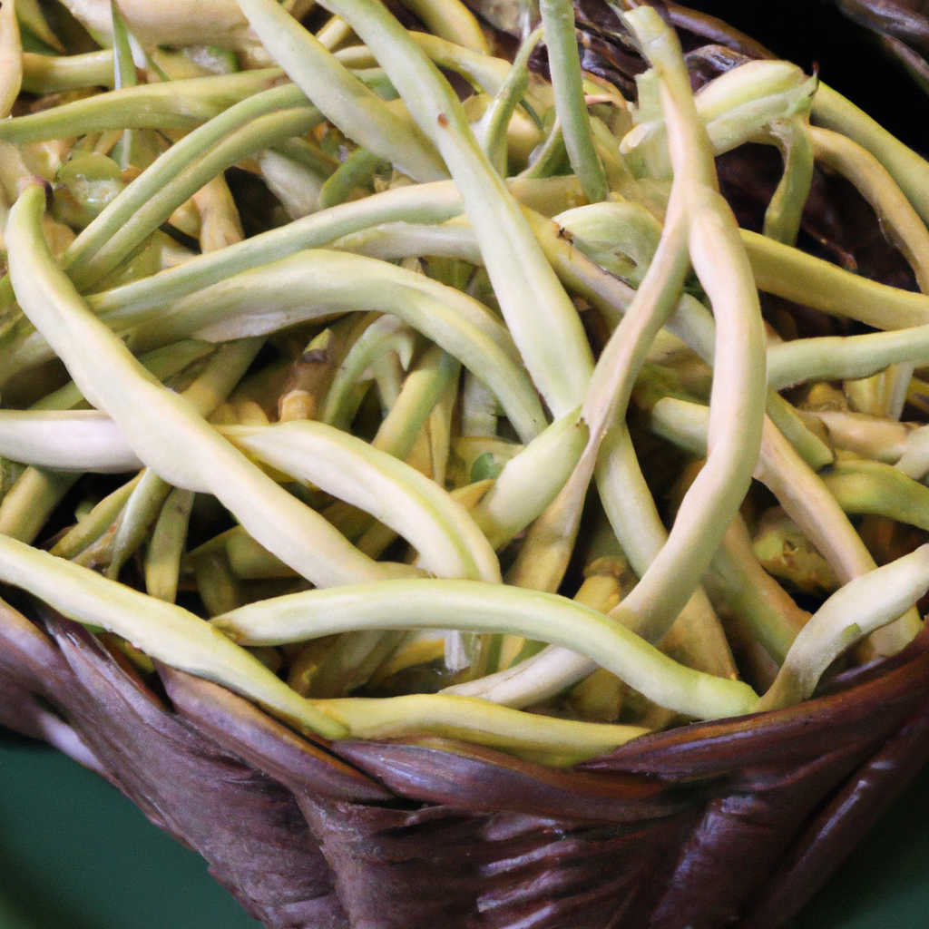 North American Farmers' Markets: Fresh Produce Finds